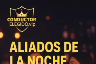 Cómo los Bares, Discotecas y Eventos Aumentan sus Ventas con el Servicio de Conductor Elegido